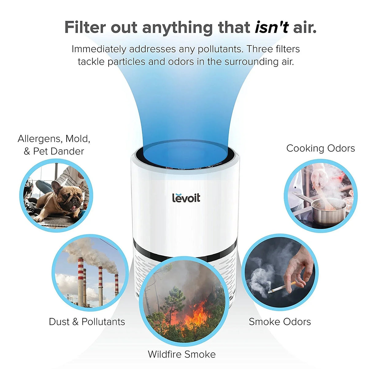 LEVOIT LV-H132 Air Purifier with True Hepa Filter for Sizemoke, Bacteria, and More