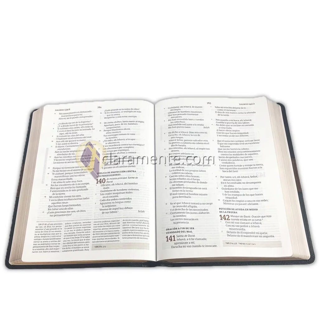 RVR 1960 Biblia de estudio Sizepurgeon, negro/marrón símil piel (Hardcover)