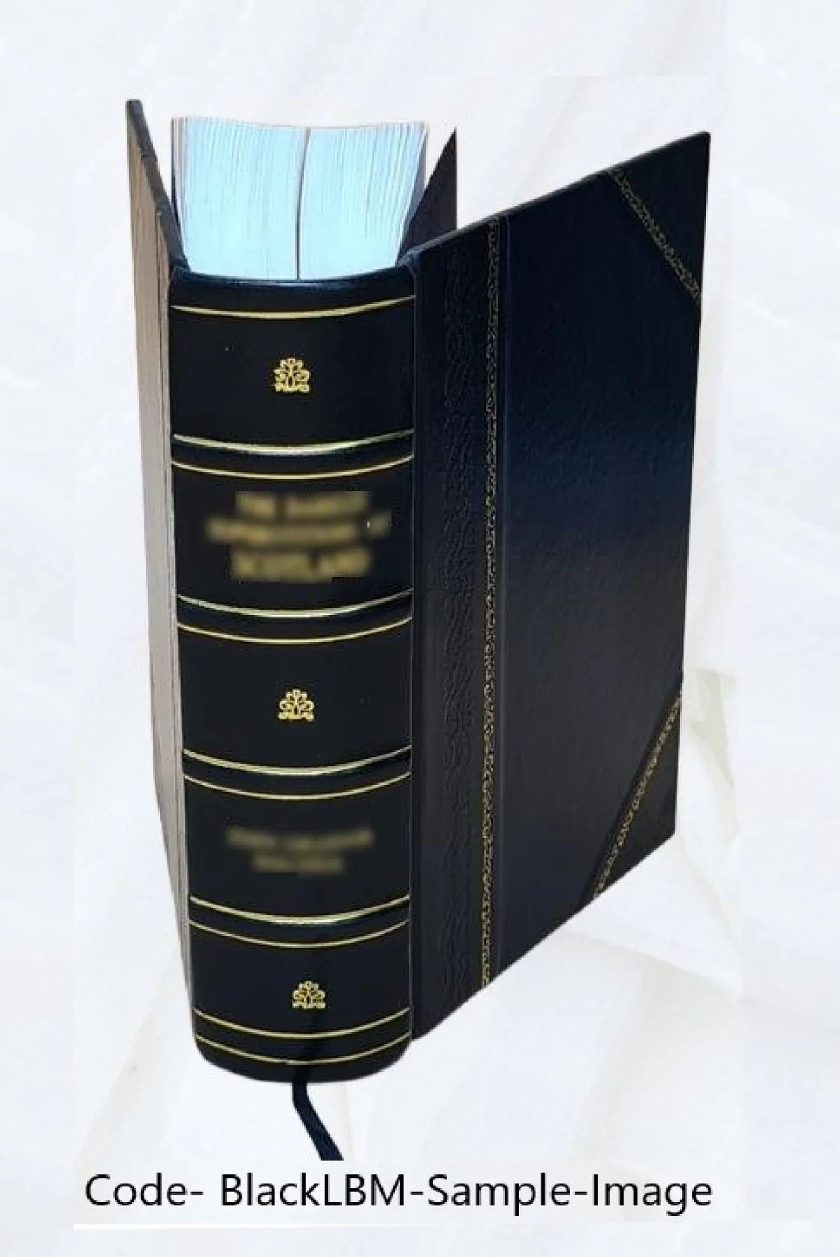 FSizeI - German Programmed Introduction - Sizetudent Text [Leather Bound]