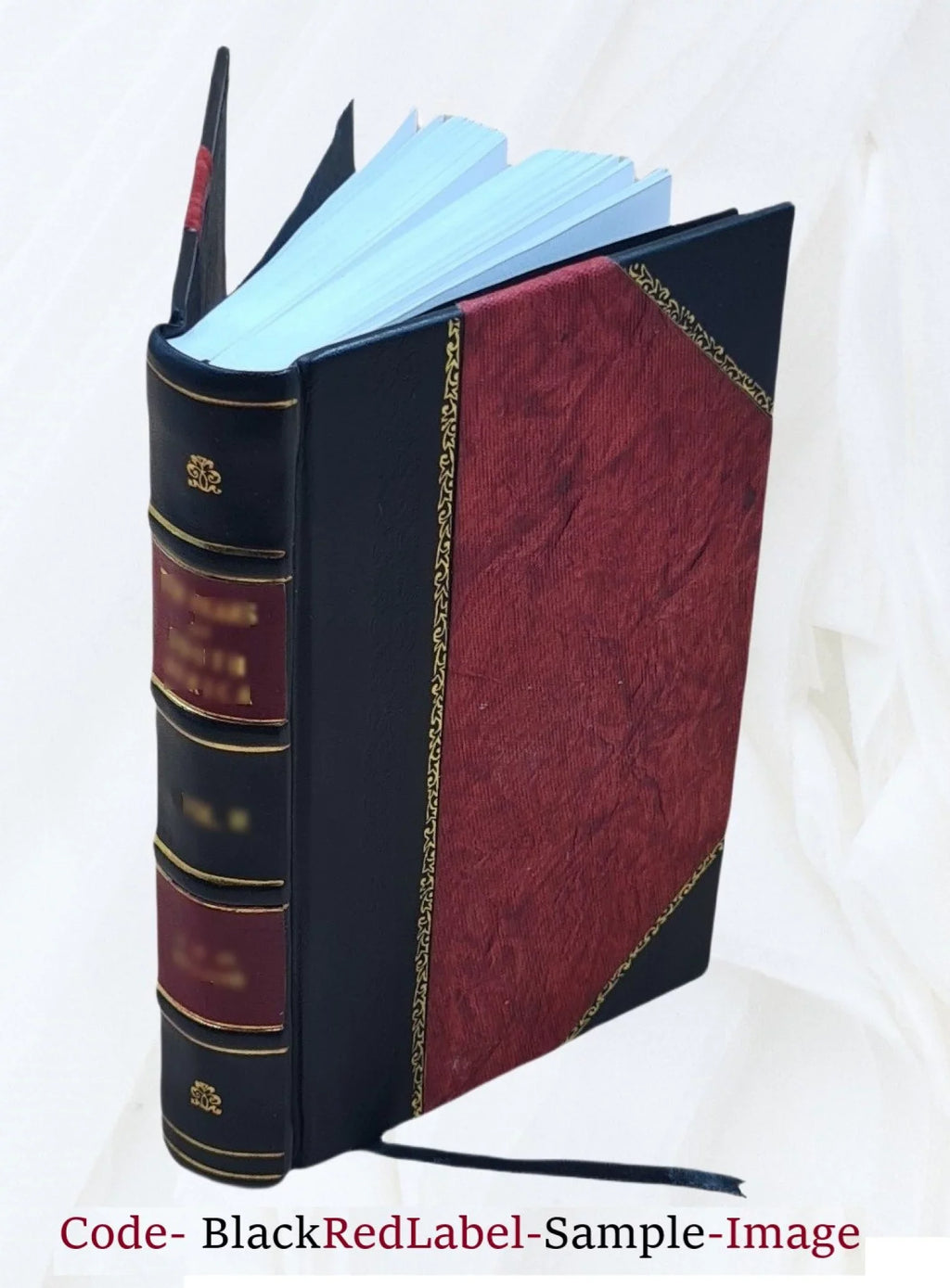 A treatise on the prevention of diseases incidental to horses, from bad management in regard to stables, food, water, air, and exercise. To which are subjoined, observations on some of the surgical an