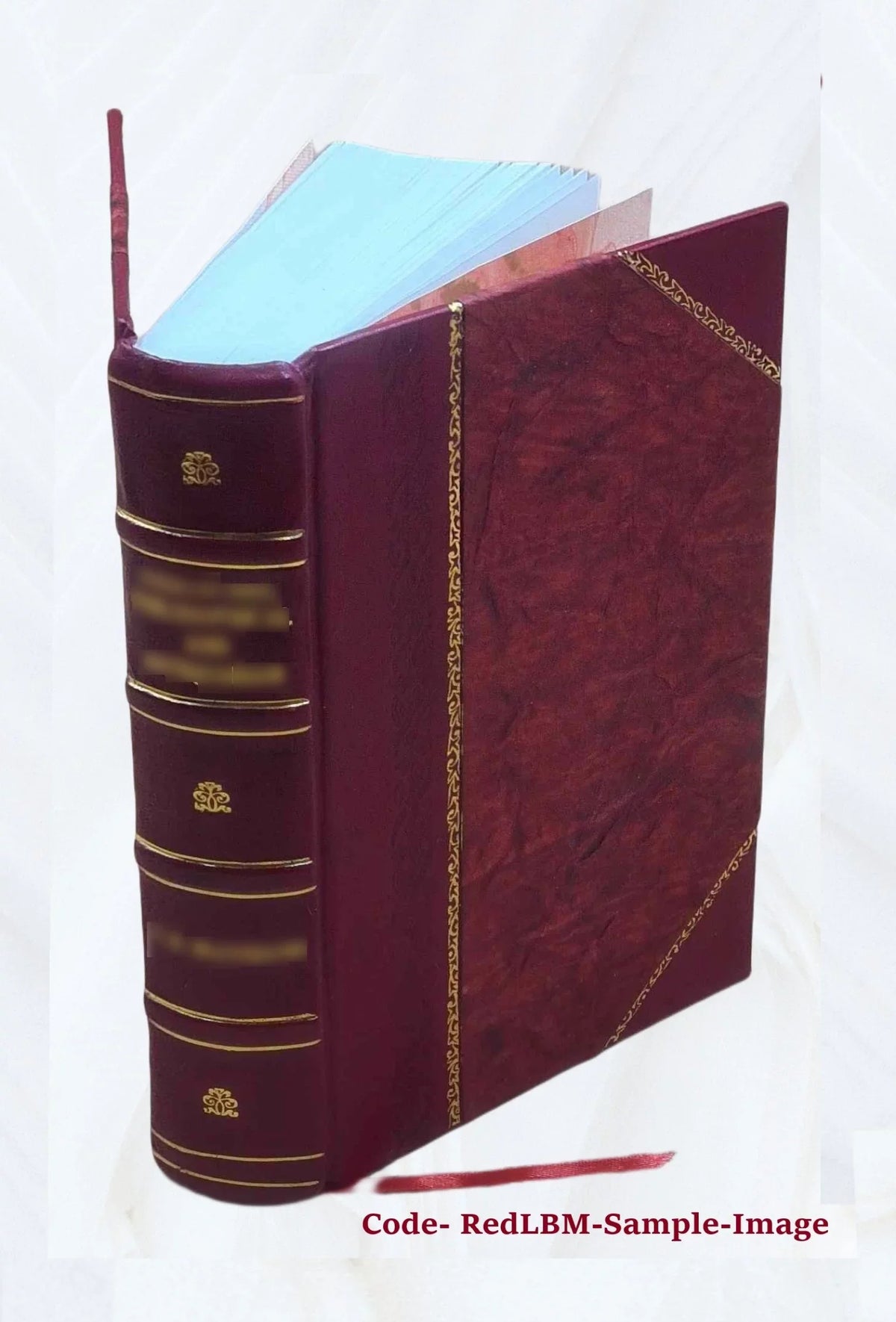 FSizeI Conversational Finnish Sizetudent Text [Leather Bound]