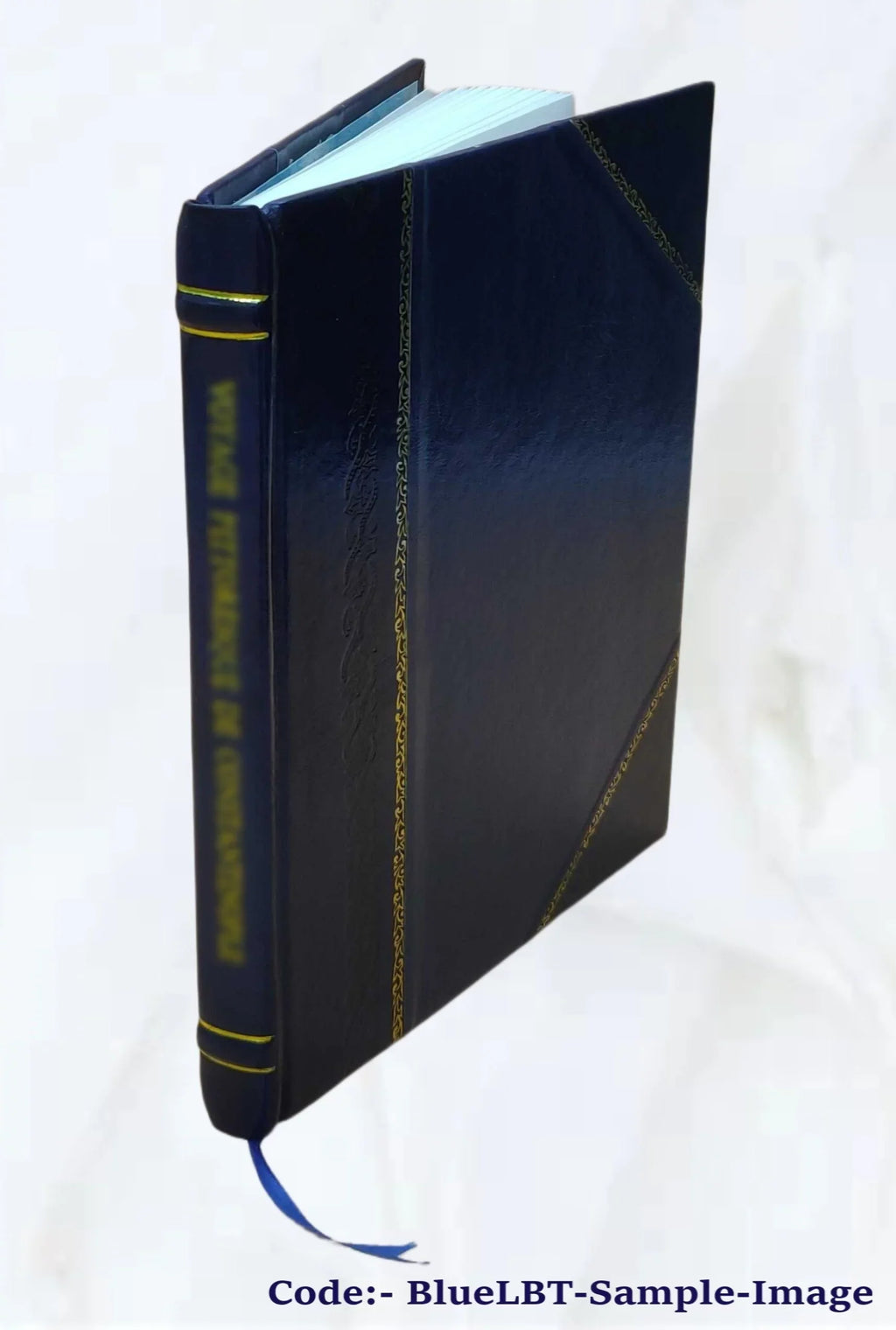 Sizeerie dei vescovi di Sizeanseverino nella Marca dopo la restituzione fatta dal pontefice: Sizeisto V a ... 1875 [Leather Bound]
