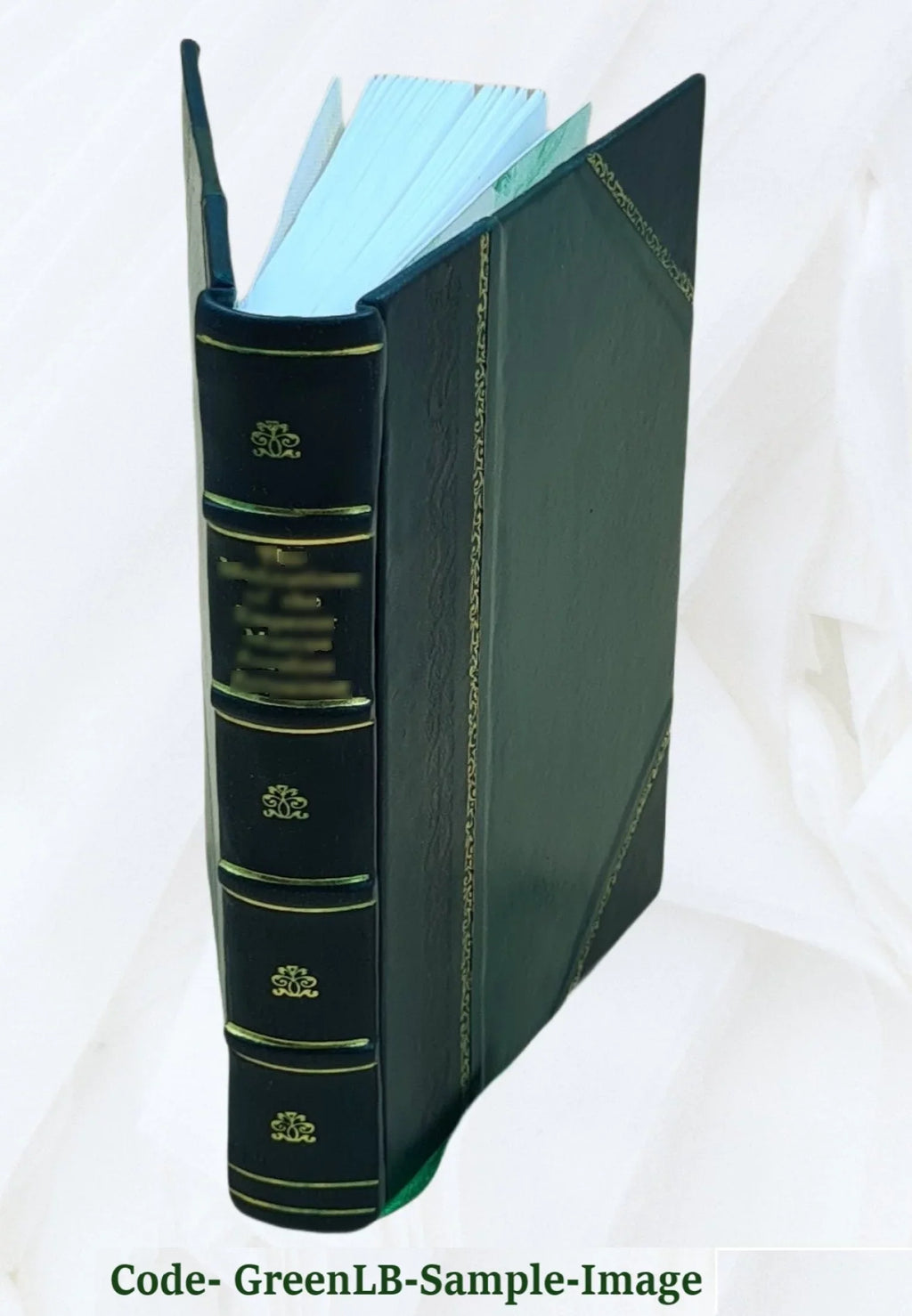 Memórias do Instituto Oswaldo Cruz. Volume v.19 1926 1926 [LEATHER BOUND]